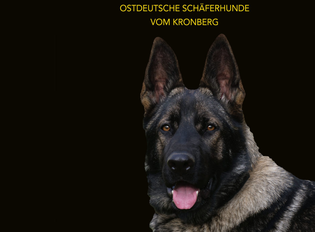 star-finder.de