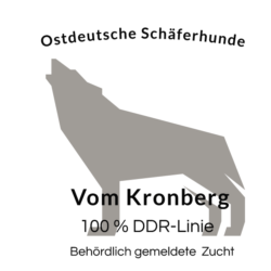 Vom Kronberg